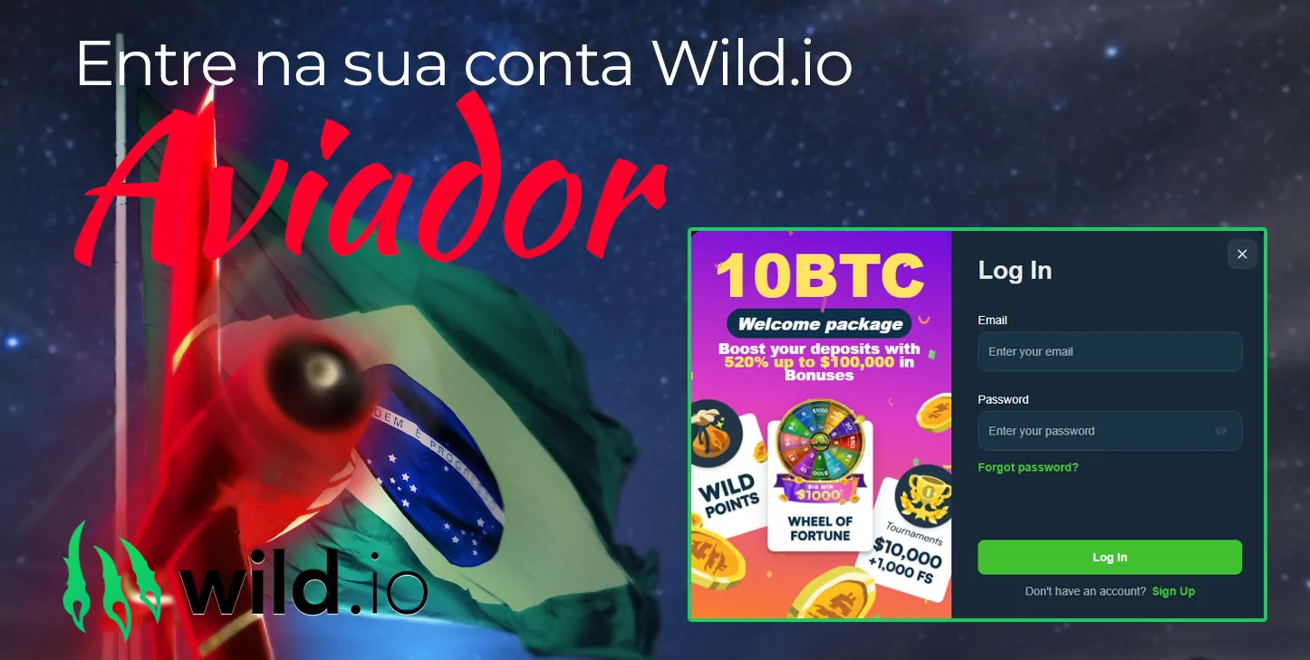 O processo de login na sua conta pessoal no site do cassino online Wild.io